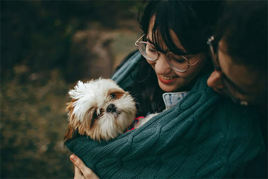 고양이 발정기 시기 궁금해? 5-9개월에 시작한다는 사실!